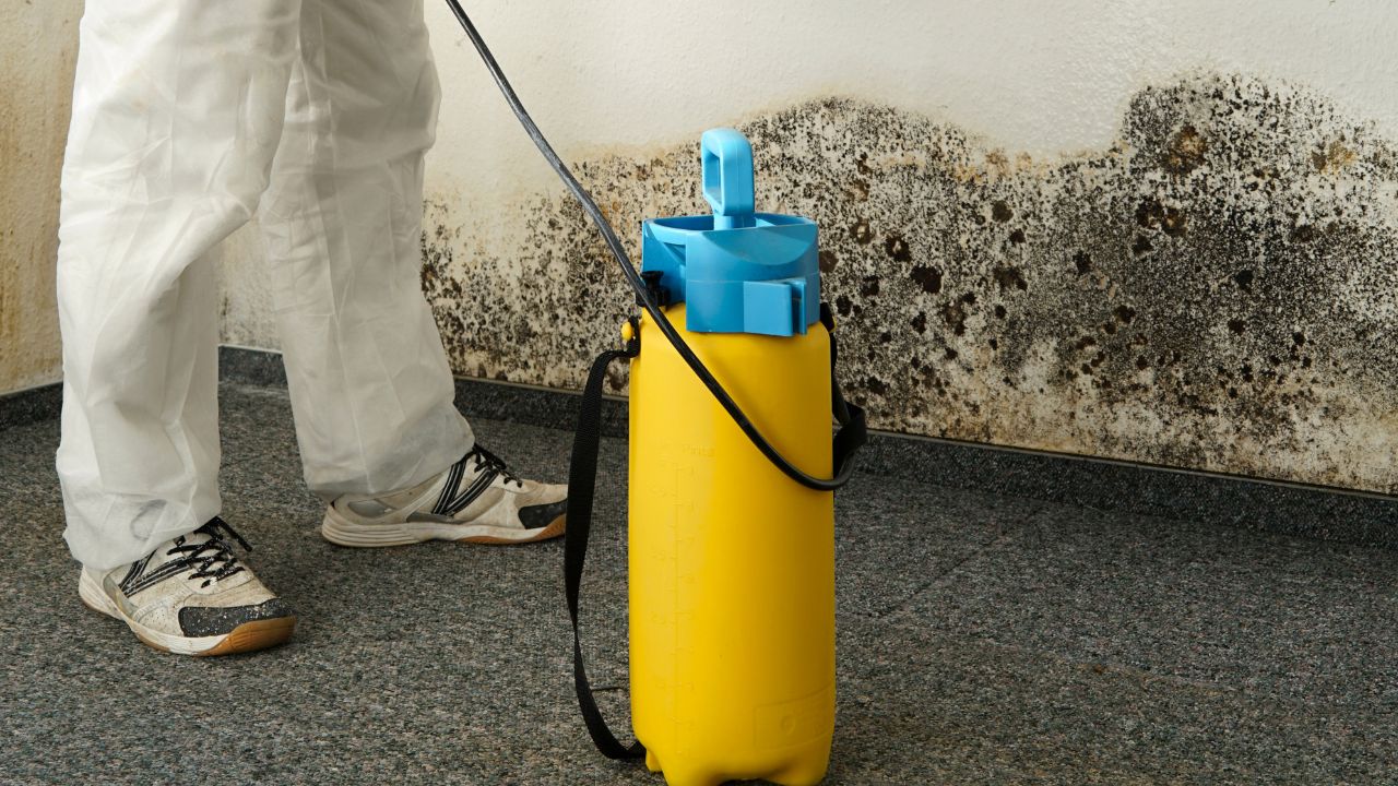 water damage repair meridian id